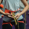 Climbing Wall Instructor Assessment - Image 2